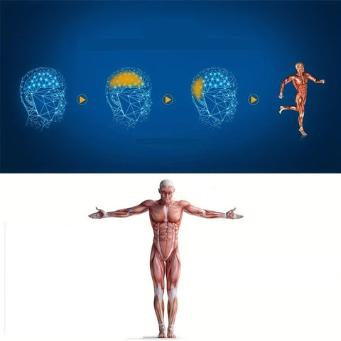 EMS Hip Trainer Buttocks Toner – Electric Glute and Ab Stimulator for Women and Men, Portable Fitness Muscle Shaping Device