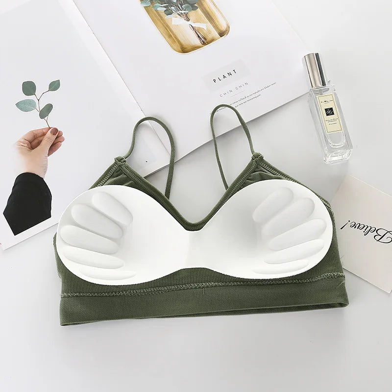 Women Sports Bras Fast Dry Elastic Padded Gym Running skeep Bra Solid color Fitness Yoga Sport breathable Tops Zen Fit Plus