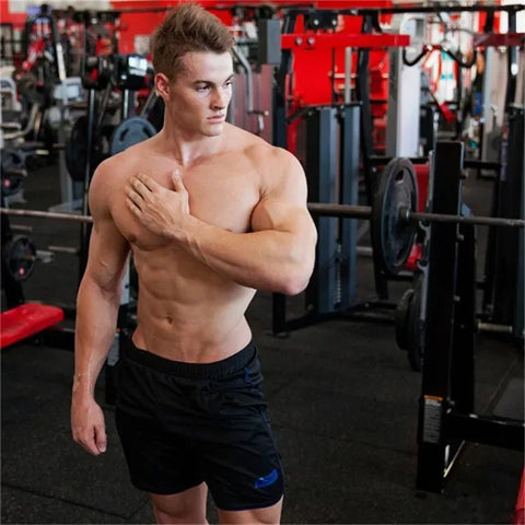 2024 NEW Summer Running Shorts Men Sports Jogging Fitness Shorts Quick Dry Mens Gym Men Shorts mesh gyms Shorts Men's sweatpants - Zen Fit Plus