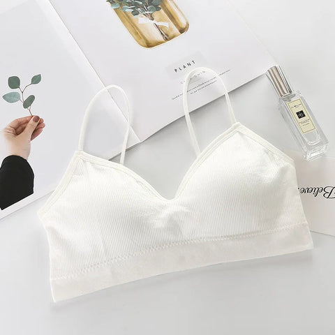 Women Sports Bras Fast Dry Elastic Padded Gym Running skeep Bra Solid color Fitness Yoga Sport breathable Tops Zen Fit Plus