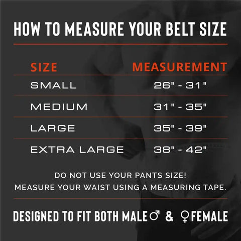 Weight Lifting Belt Back Support Workout Belt with Metal Buckle for Men Women Gym Squats Deadlifts Powerlifting Cross Training Zen Fit Plus