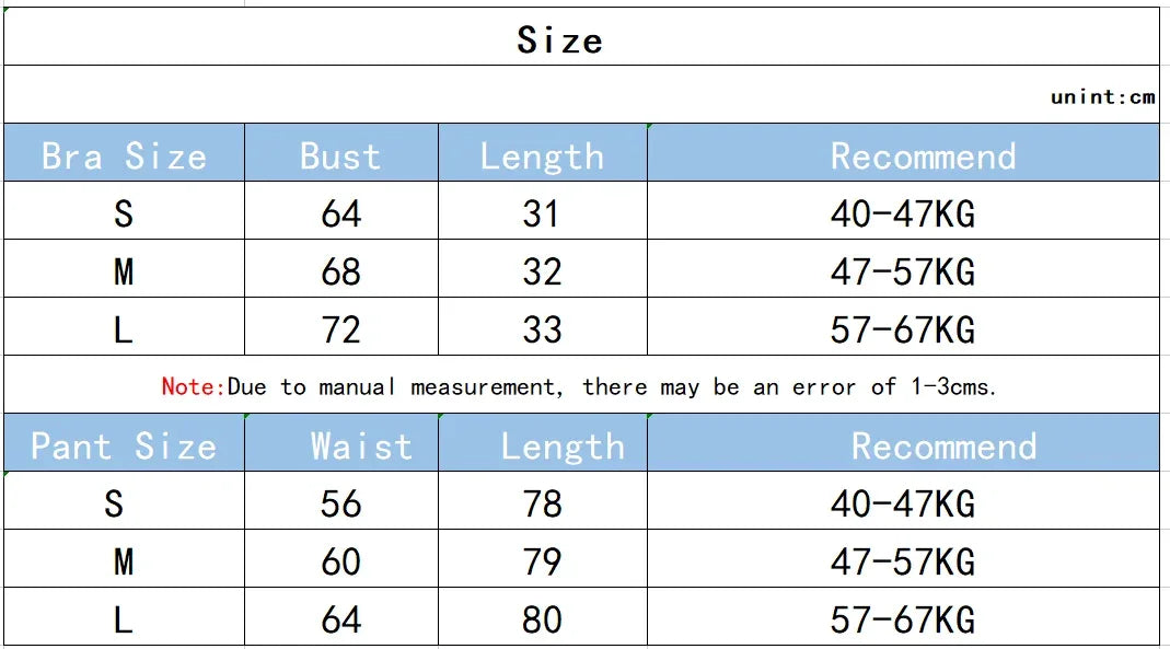 2PCS Sports Bra Women's Set Professional Fitness Tank Top Bra Shockproof Running Leggings Yoga Suit Beautiful Back Bra Clothing - Zen Fit Plus