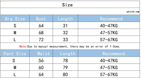 2PCS Sports Bra Women's Set Professional Fitness Tank Top Bra Shockproof Running Leggings Yoga Suit Beautiful Back Bra Clothing - Zen Fit Plus