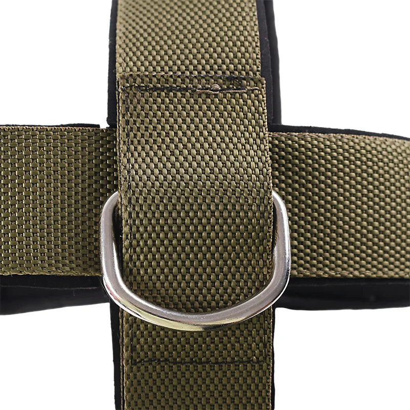 Adjustable Head Harness Neck Trainer for Home Weight Lifting Head Neck Straps Nylon Cap with Chain Neck Harness Neck Trainer Zen fit plus