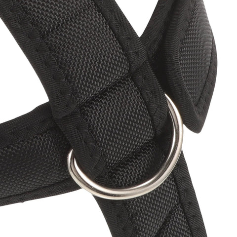 Head Training Harness Neck Strength Training Strap Portable Neck Trainer Practical Neck Tool For Gym Indoor Neck Trainer Zen fit plus
