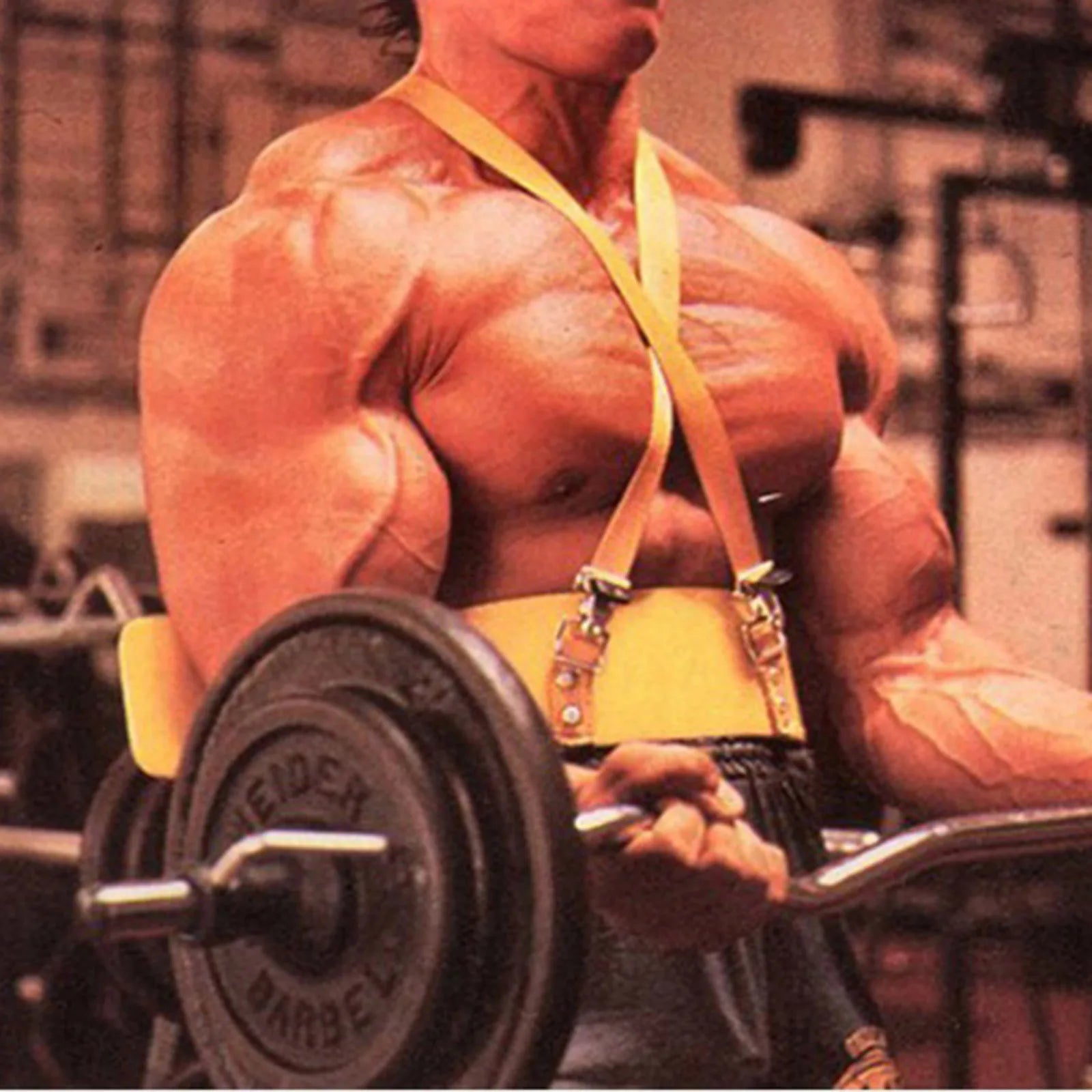 1pc Sport Arm Blaster for Curl Bar Arm Bicep Triceps Dumbbells & Barbells Bicep Isolator Strength Curling Muscle Body Build Zen Fit Plus