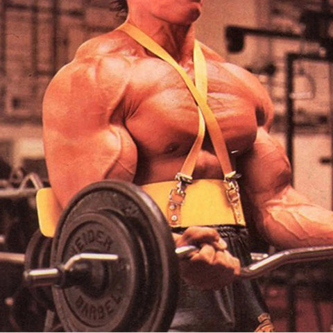 1pc Sport Arm Blaster for Curl Bar Arm Bicep Triceps Dumbbells & Barbells Bicep Isolator Strength Curling Muscle Body Build Zen Fit Plus