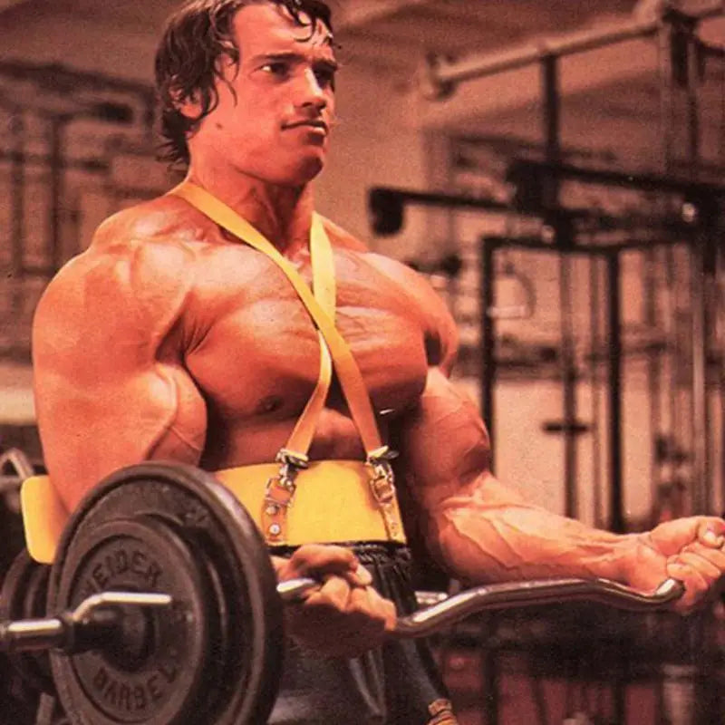 ﻿ Premium Arm Blaster Adjustable Body building Biceps Curl Support Straps Training Accessory supplies to protect the muscles Zen fit plus