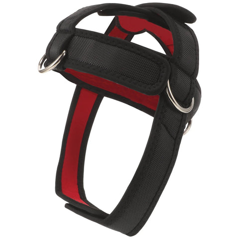 Head Training Harness Neck Strength Training Strap Portable Neck Trainer Practical Neck Tool For Gym Indoor Neck Trainer Zen fit plus