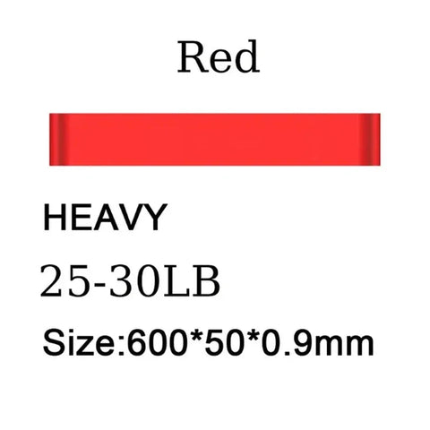 Resistance Loop Exercise Band Exercise Bands for Home Fitness Stretching Strength Training Physical Therapy Elastic Workout Band Zen fit plus