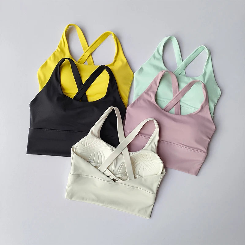 All-in-one Sports Bra Collection Breast High-intensity Professional Shock-proof Huddle Running Bra Yoga Fitness Bra Summer Cloth Zen Fit Plus